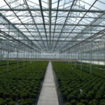 greenhouse-1