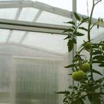 greenhouse-3